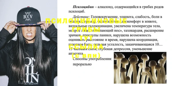 трава Аркадак