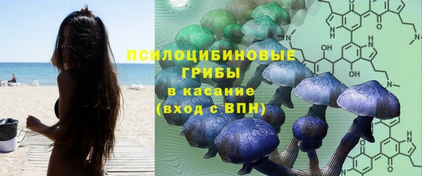 трава Аркадак